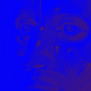 Acessos Cirúrgicos ao esqueleto facial