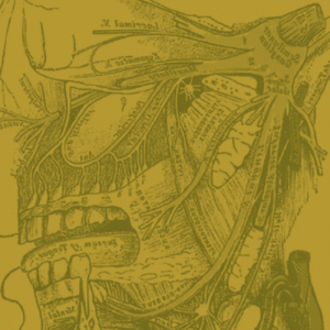 Formação em nervo Trigêmeo